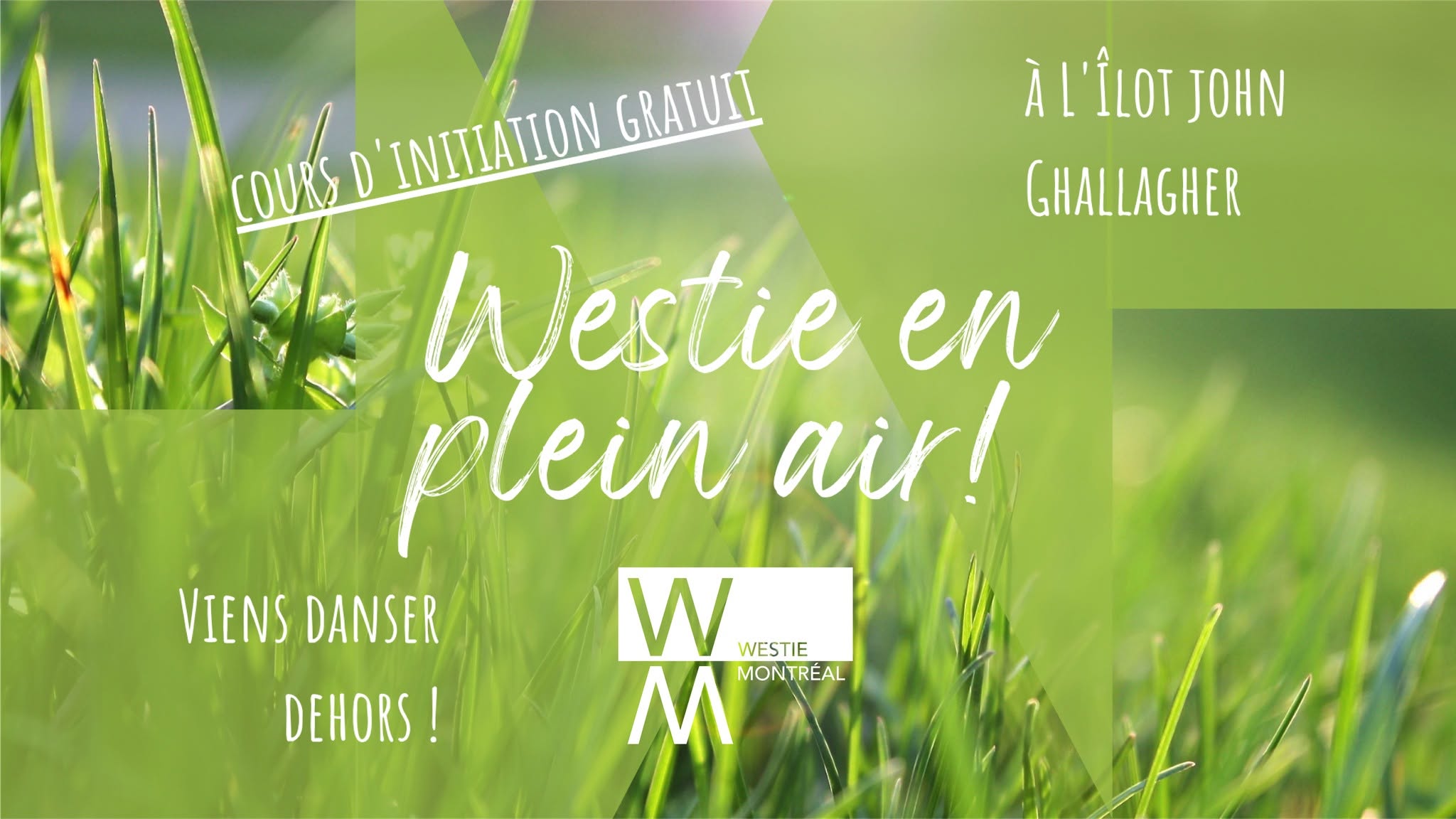 Westie en plein air